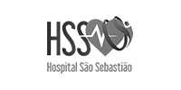 logo-hsstc2
